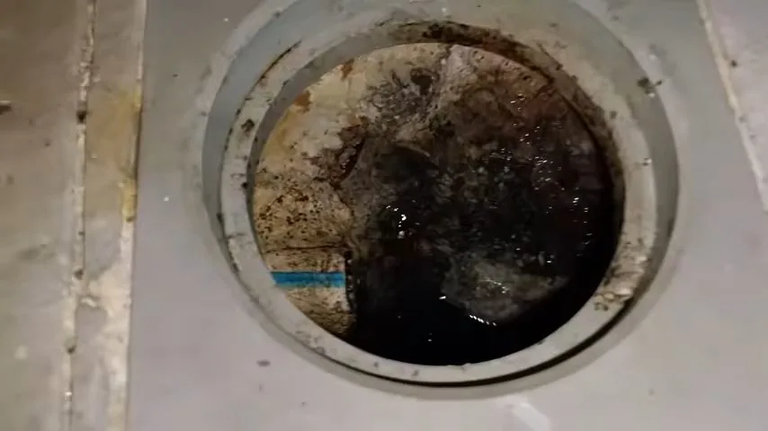 Round drain opening in a concrete floor seen from above, with dark debris around the rim