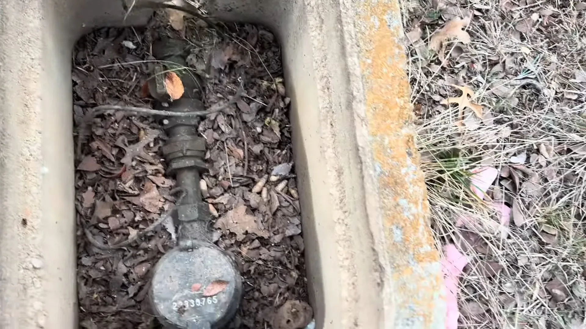 Water meter at the bottom of an in-ground box, with dry leaves around it and a pipe rising above it